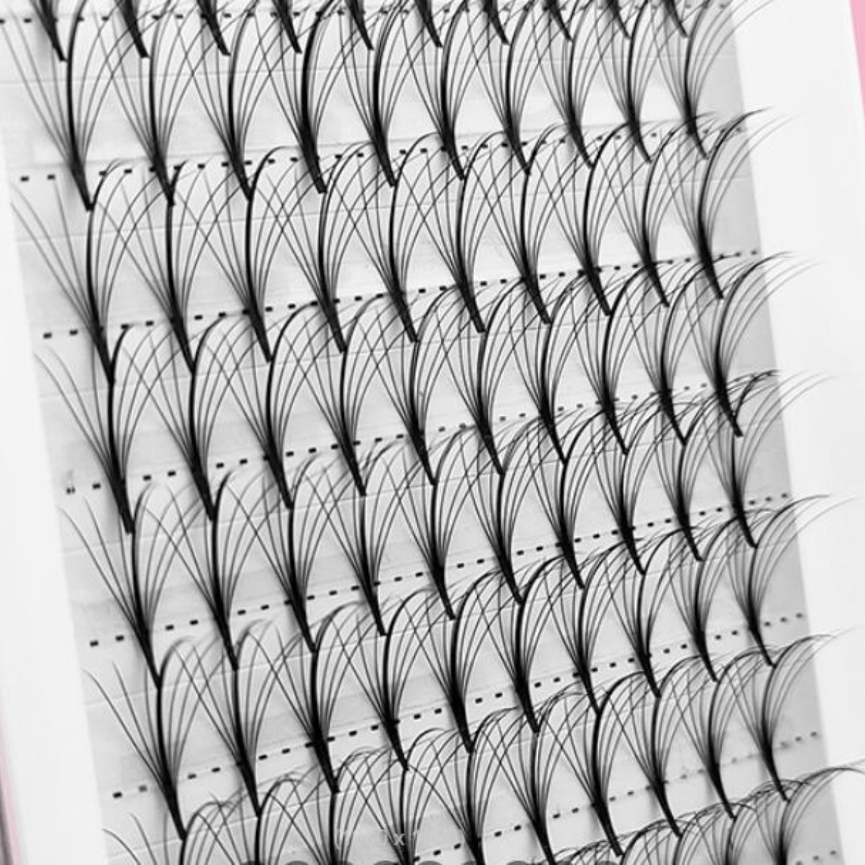 Sandwich Premade Fan